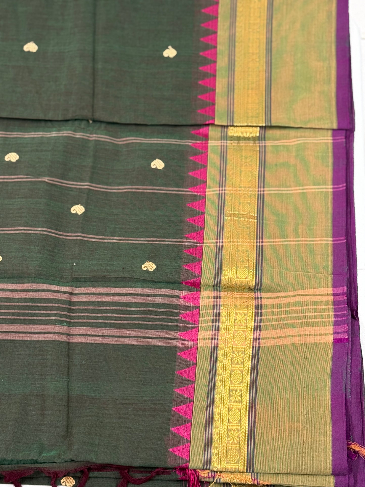 Green Pure Cotton Saree with Purple and Golden Border