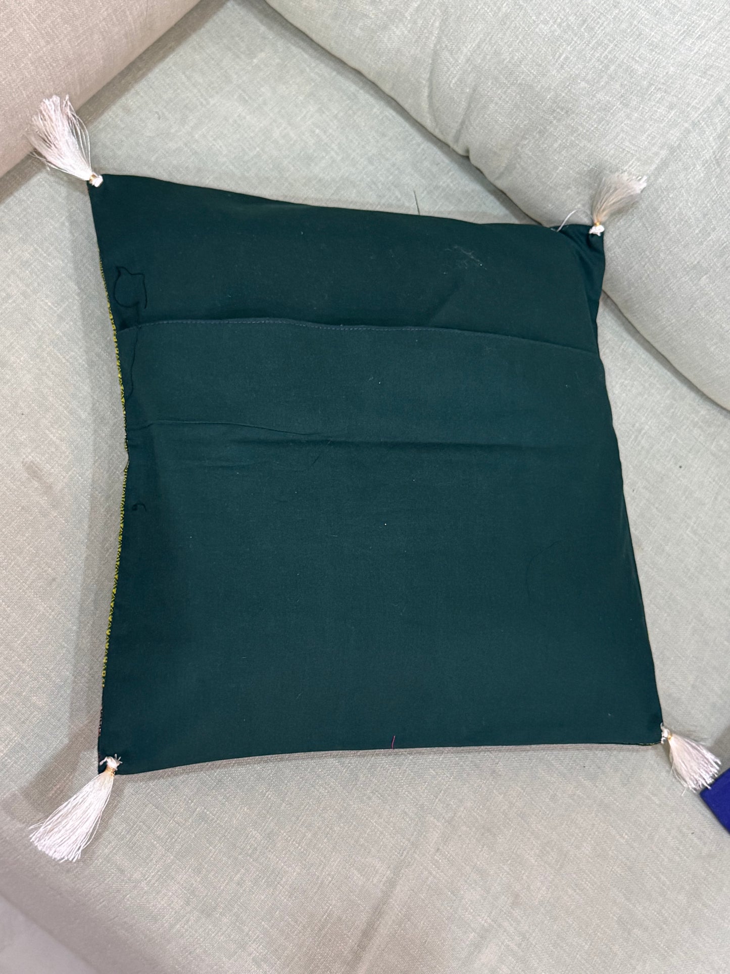 GREEN APPLE : SET OF 2 COVERS