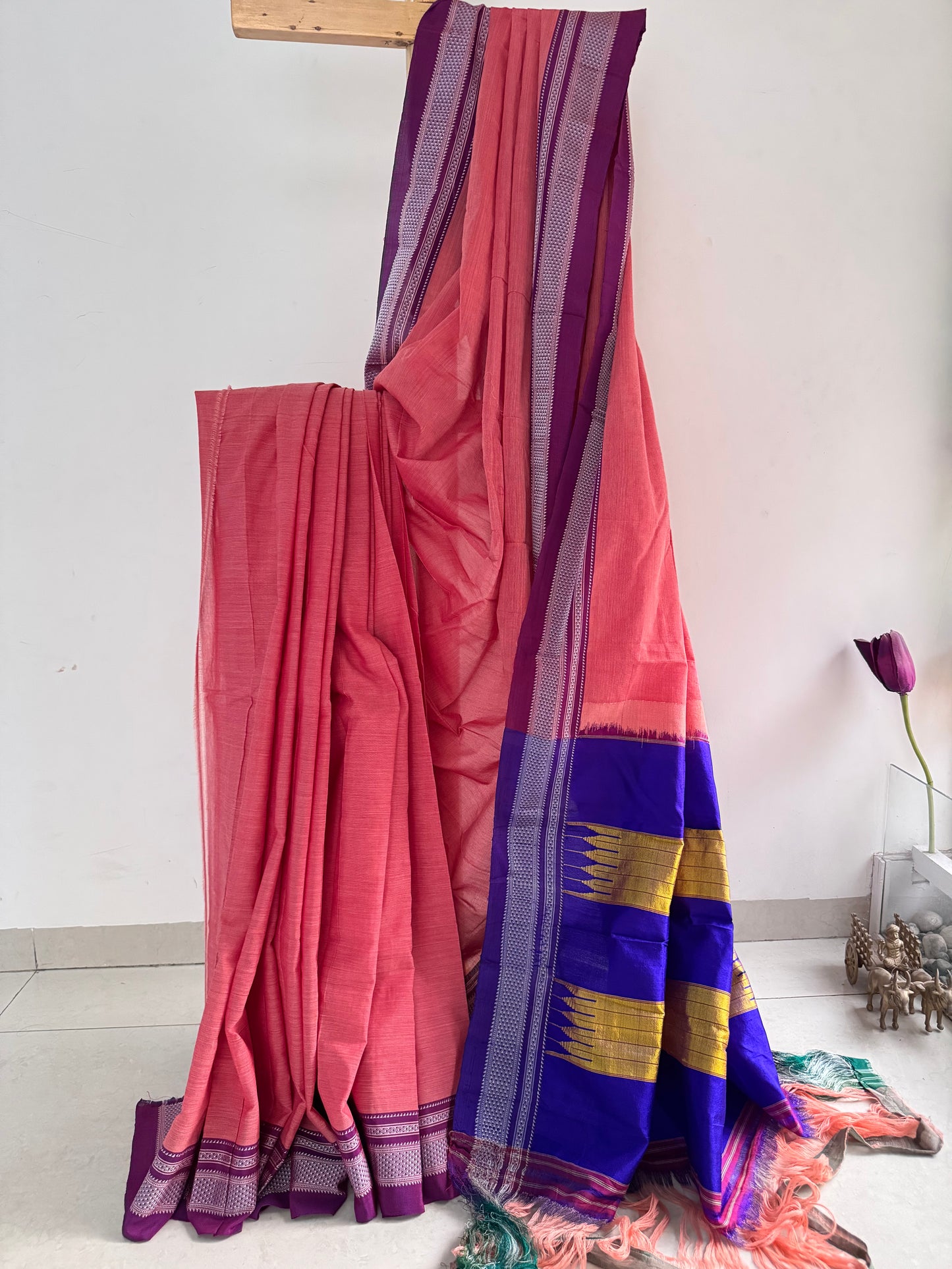 JAPAA : ILKAL COTTON SAREE