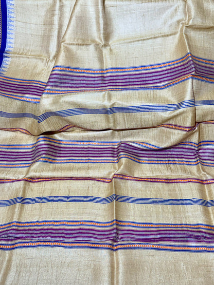 EESHA : VIDARBHA TUSSAR KARVATI KINAR SAREE