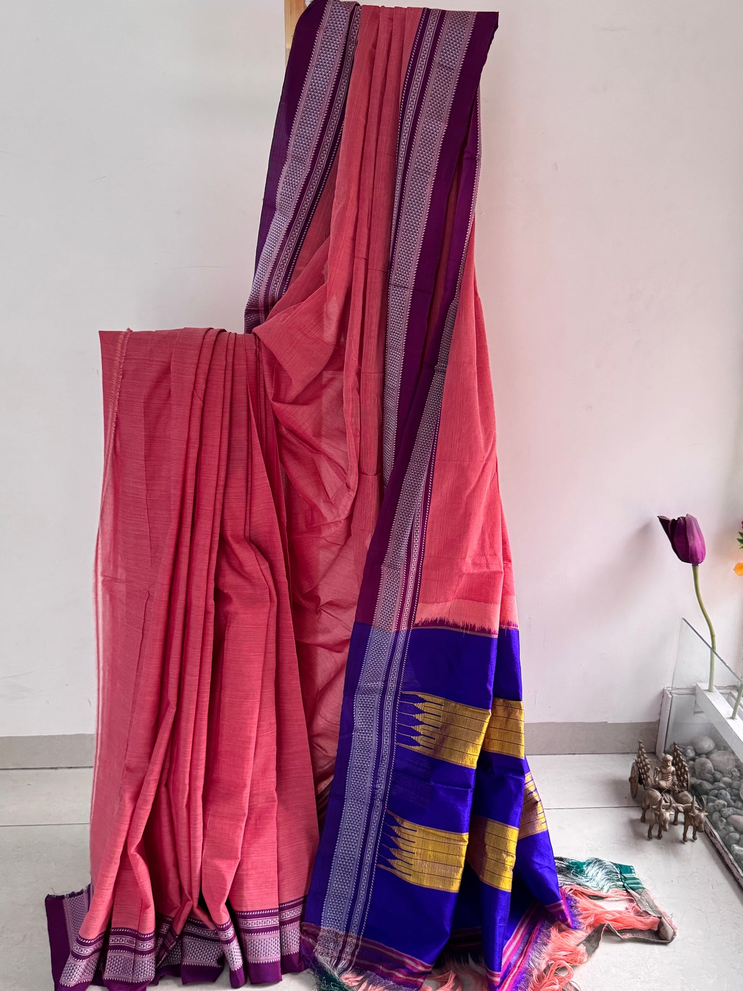 JAPAA : ILKAL COTTON SAREE